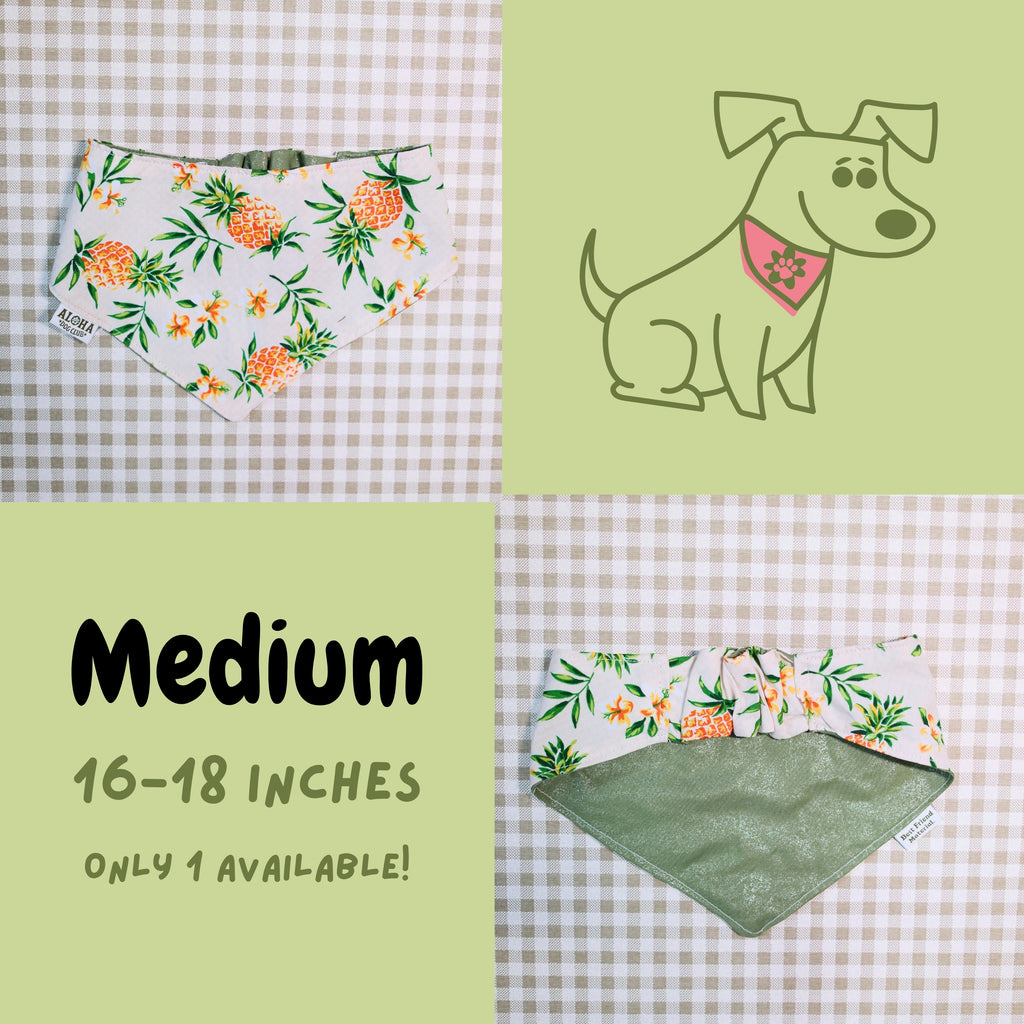 Pineapple Flowers Reversible Dog Bandana