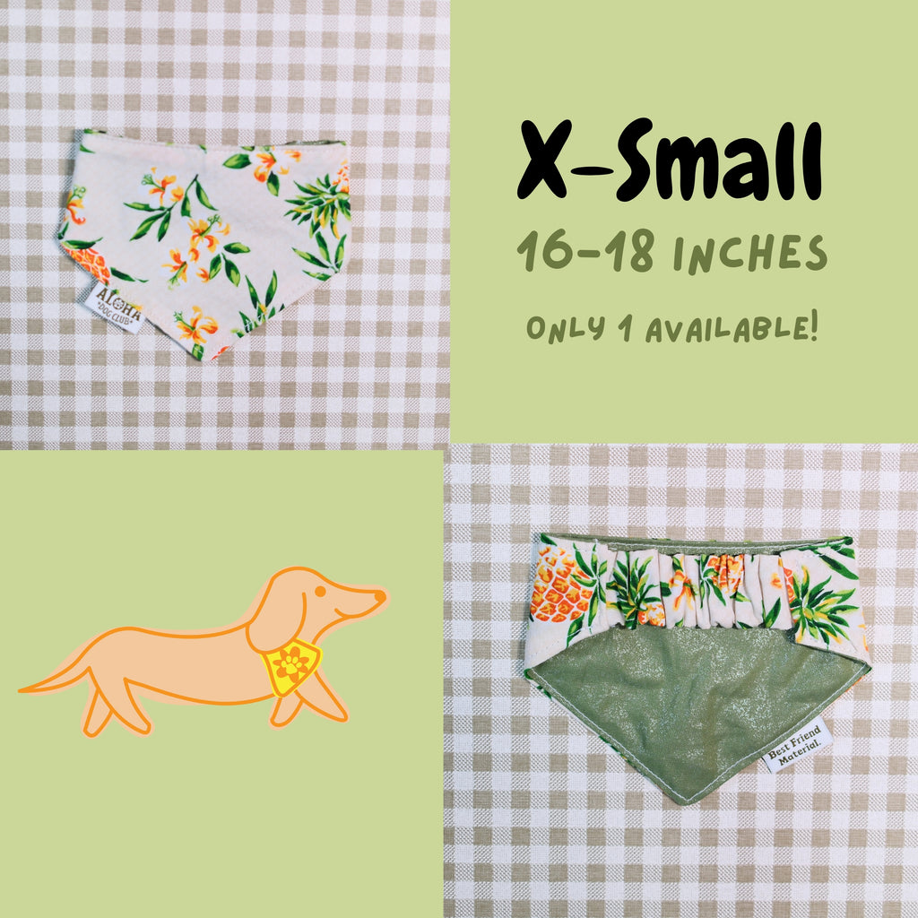 Pineapple Flowers Reversible Dog Bandana