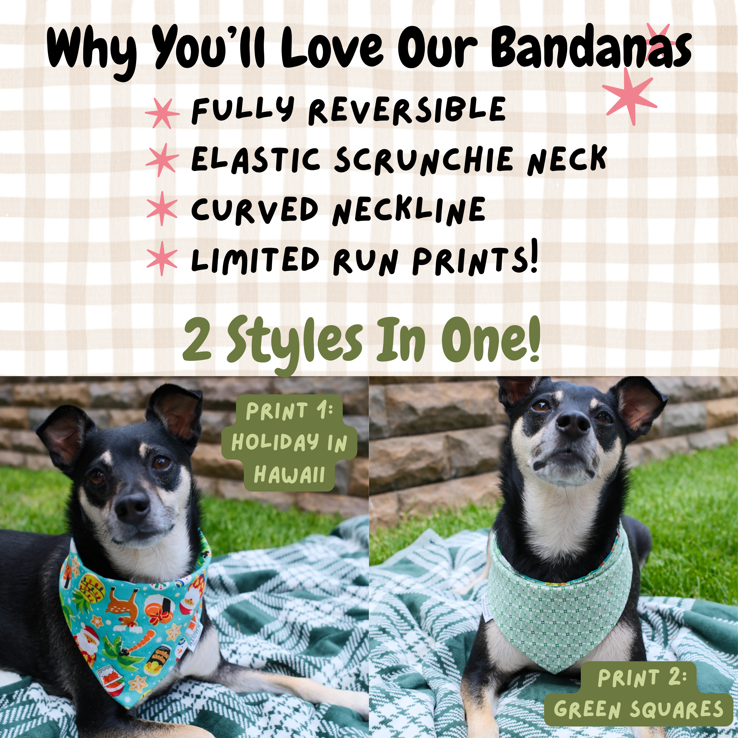 Holiday in Hawaii Reversible Dog Bandana