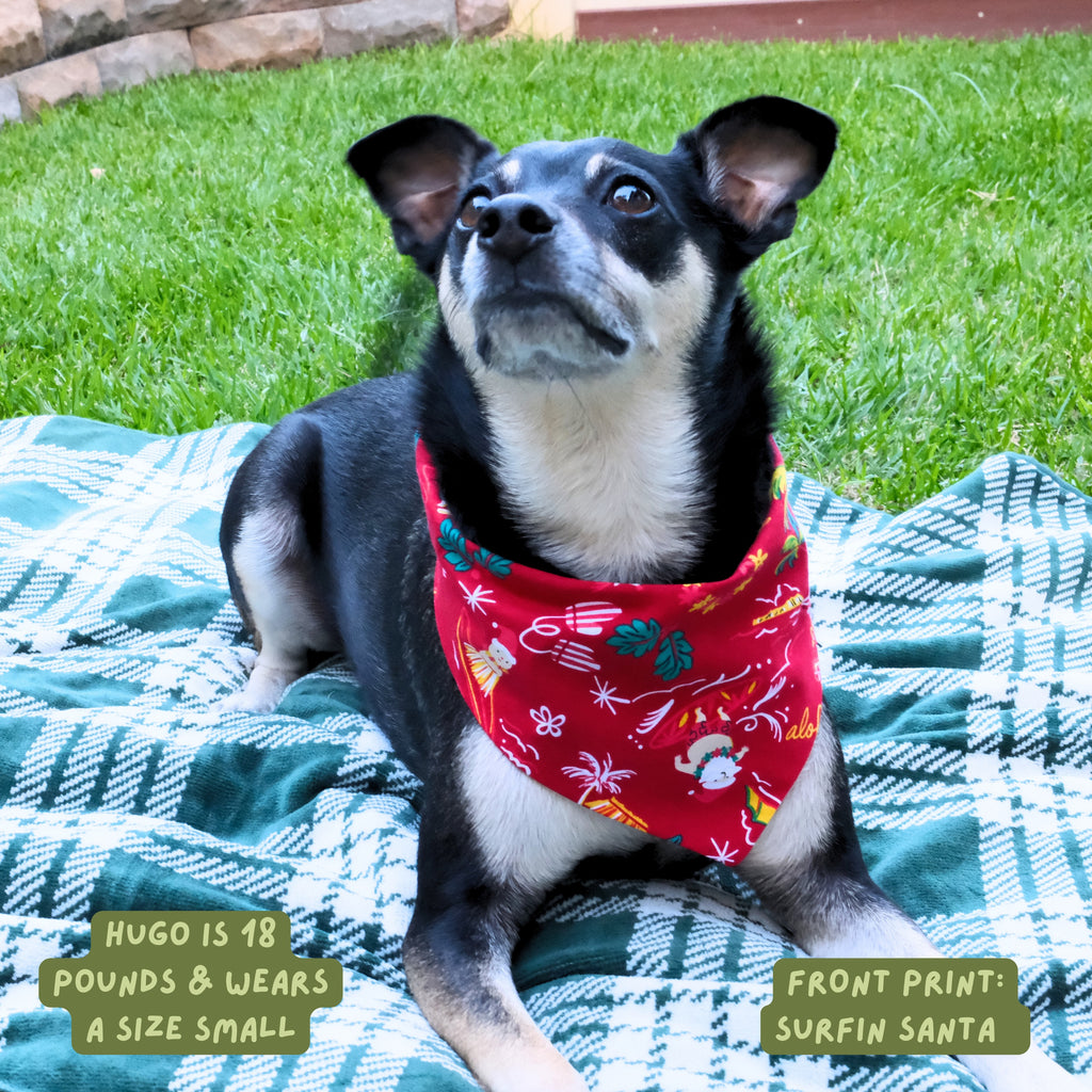 Surfing Santa Reversible Dog Bandana - Red