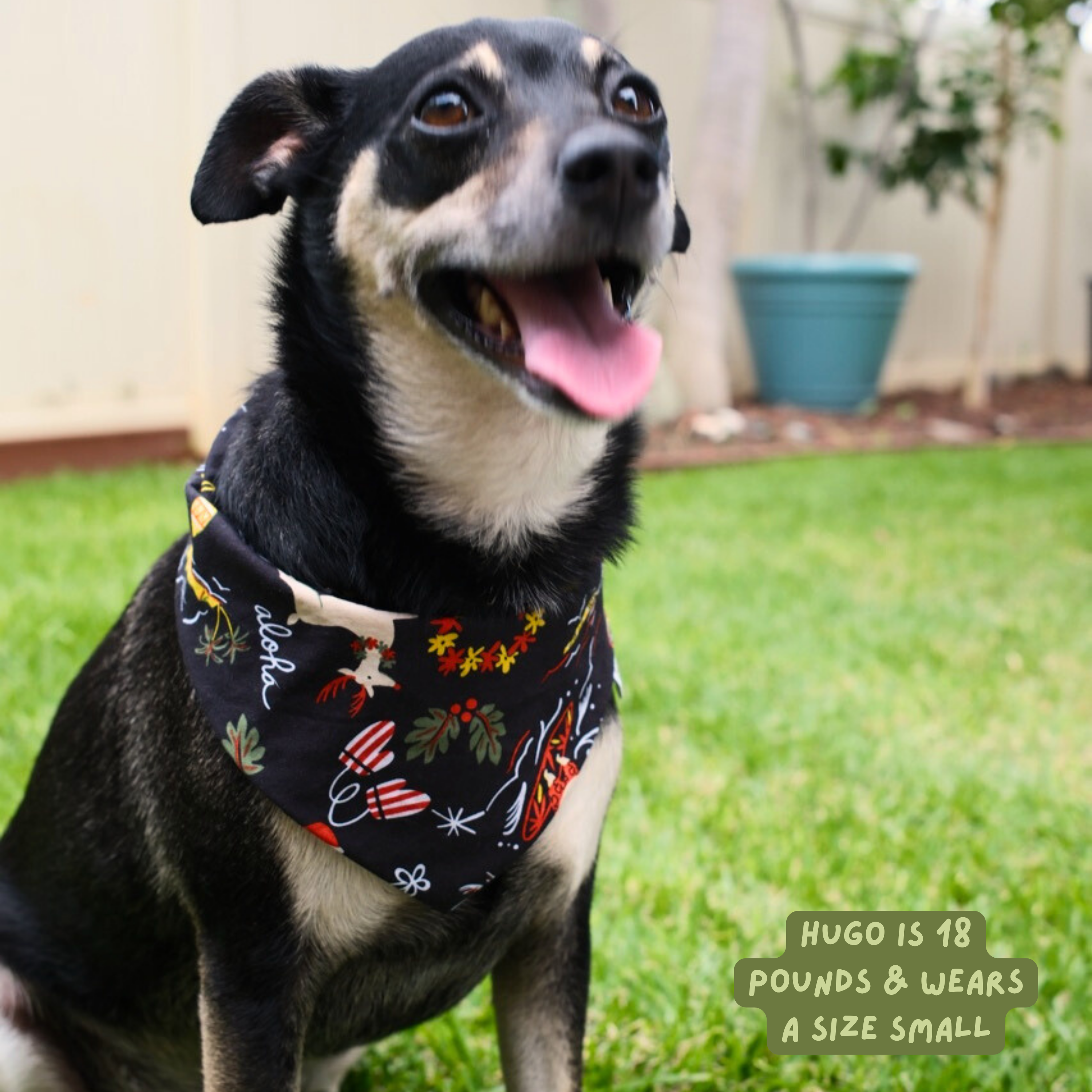 Surfing Santa Reversible Dog Bandana - Black
