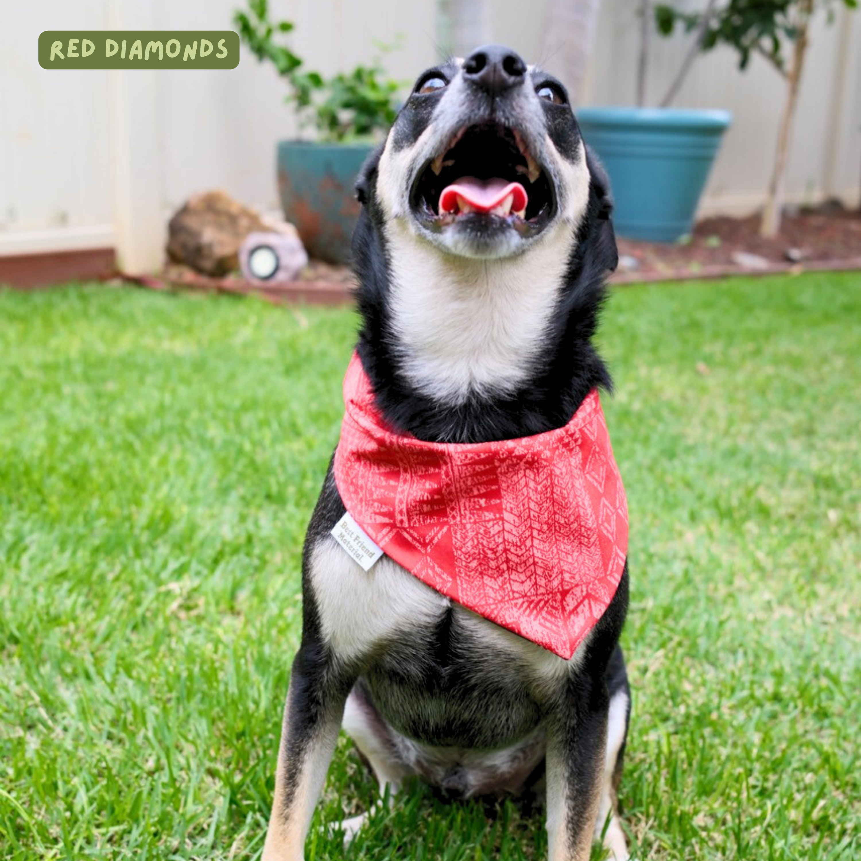 Surfing Santa Reversible Dog Bandana - Black