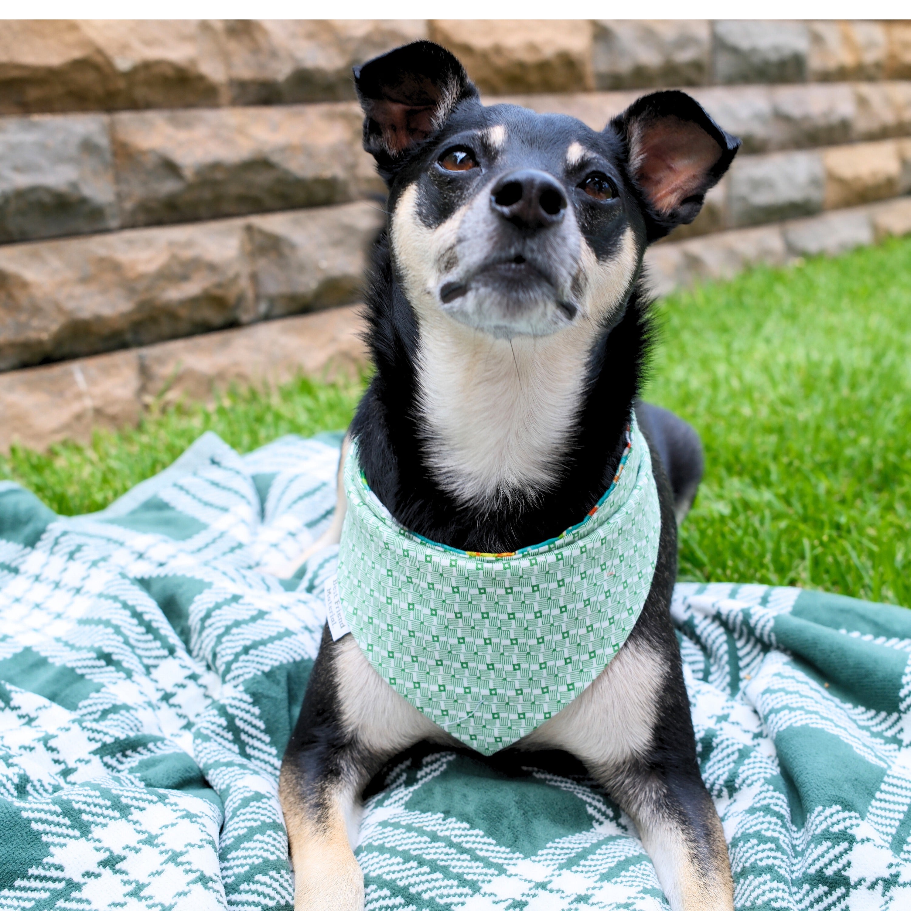 Pineapple Santa Reversible Dog Bandana