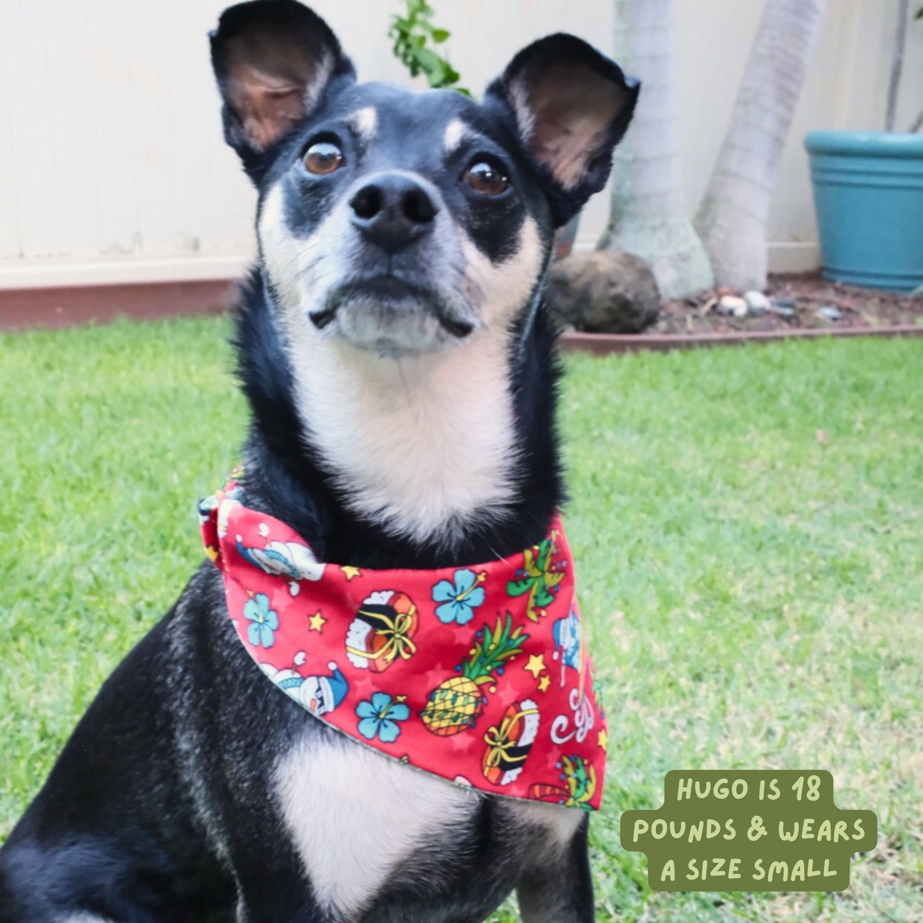 Pineapple Santa Reversible Dog Bandana