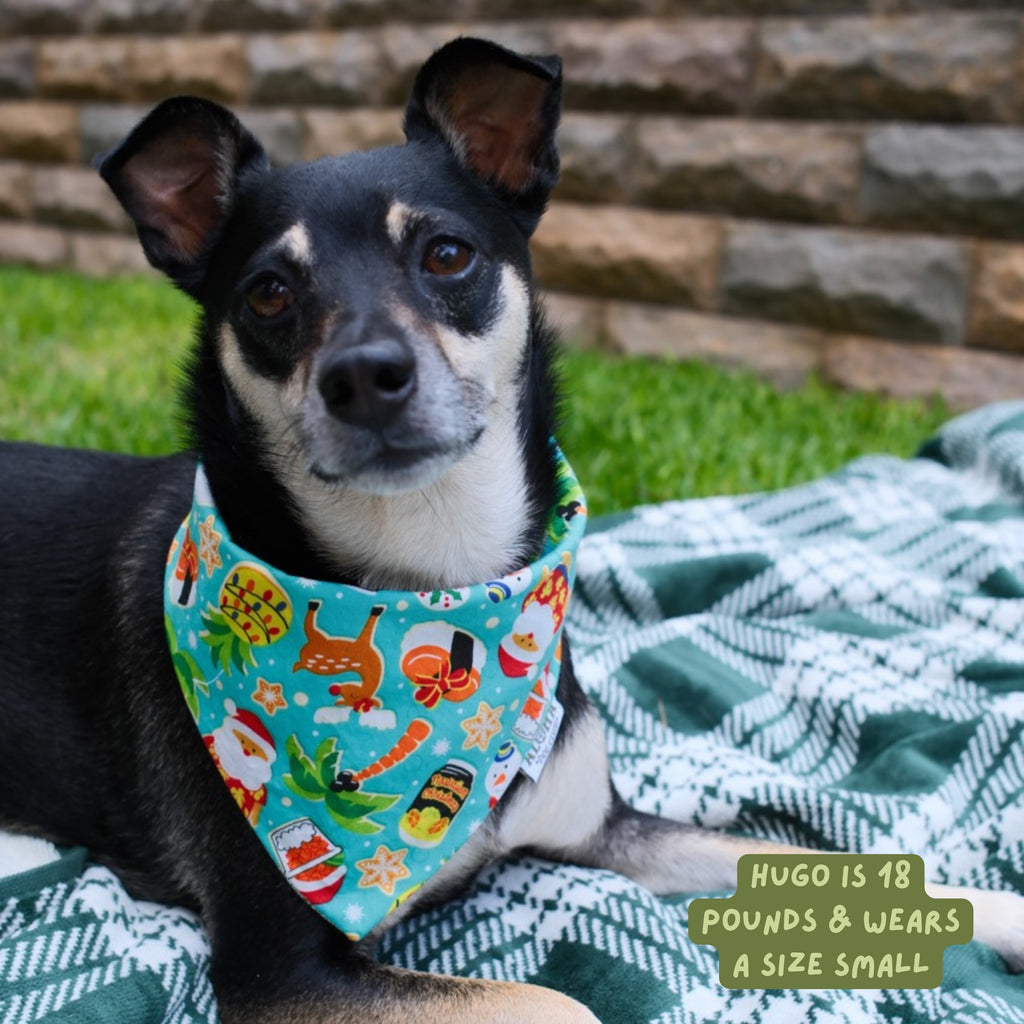 Holiday in Hawaii Reversible Dog Bandana